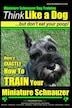 How to crate hotsell train a miniature schnauzer