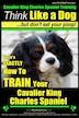 Cavalier king charles spaniel hot sale training