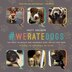 Weratedogs shop hot sale