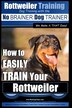 Training best sale your rottweiler