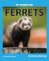 Ferrets for sale sales vic