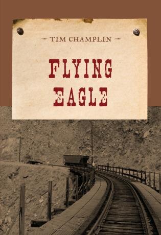 Flying Eagle by Tim Champlin, Paperback | Indigo Chapters