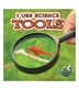 I Use Science Tools by Kelli Hicks, Paperback | Indigo Chapters
