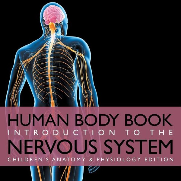 Human Body Book Introduction to the Nervous System Children's Anatomy & Physiology Edition by Baby Baby Professor, Paperback | Indigo Chapters