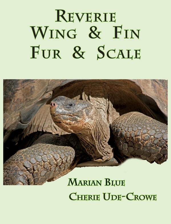 Reverie Wing & Fin Fur & Scale by Marian Blue, Hardcover | Indigo Chapters
