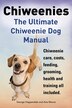 Dog care dog training collar manual sale