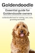 Goldendoodle feeding clearance guide