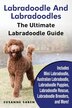 Labradoodle kennel 2024