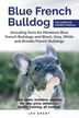 French bulldog 2024 show breeders