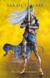 Reino De Cenizas / Kingdom Of Ash by Sarah J. Maas, Paperback | Indigo Chapters