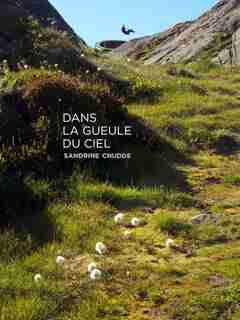 Dans la gueule du ciel de Sandrine Cnudde