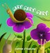 Gary Gary Gary by Shawna Strickland, Hardcover | Indigo Chapters