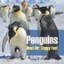 Penguins - Meet Mr. Flappy Feet par Baby Professor, Couverture souple Couverture souple | Indigo Chapters