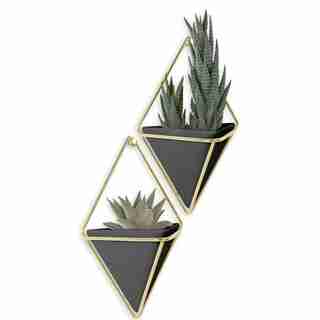 UMBRA TRIGG WALL DISPLAY - BLACK, SMALL, SET OF 2
