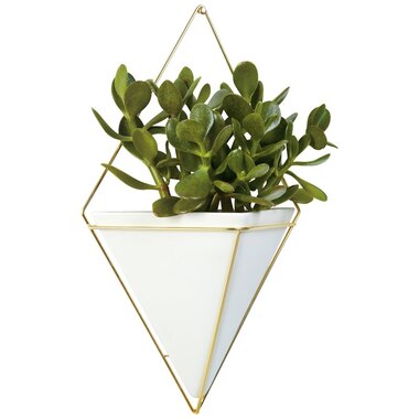 Umbra Trigg Wall Vessel Brass Large