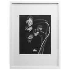frames wall décor gallery