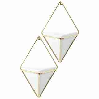 Umbra Trigg Wall Vessel Brass – Small