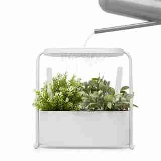 Giardino Garden Planter - White