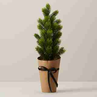 ARBRE DE TABLE