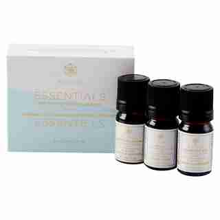 AURIA DIFFUSER OIL ESSENTIALS SET OF 3