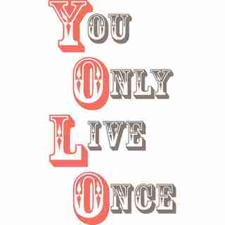 You Only Live Once Decal