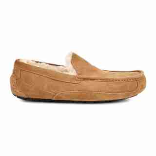 Men's Ascot Slipper , Chestnut Size 9