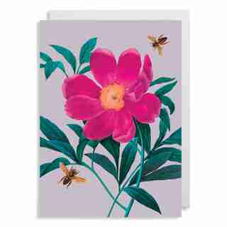 Everyday Greeting Card Gentiana