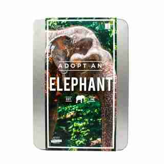 Adopt an Elephant