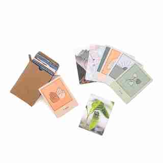 Calm Club The Oracle Tarot Card Deck