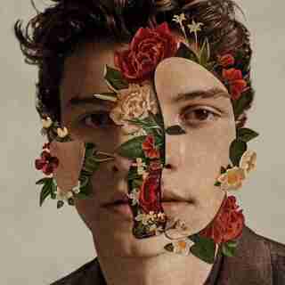 SHAWN MENDES - SHAWN MENDES - VINYL