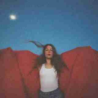MAGGIE ROGERS - HEARD IT IN A PAST LIFE - VINYL