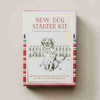 NEW DOG STARTER KIT