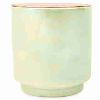 PADDYWAX® GLOW CANDLE - WHITE WOODS & MINT 17 OZ