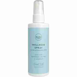 Wellness Spray - Cool Off