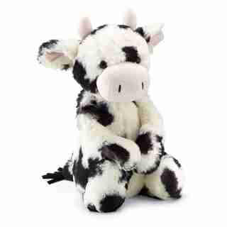 Bashful Cow