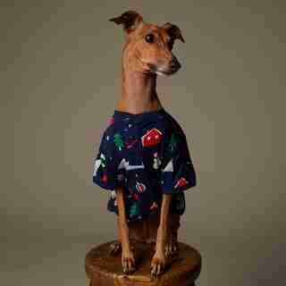 HATLEY X INDIGO WINTER DOG PJS MEDIUM