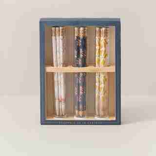 PENCILS TERRARIUM SET OF 18
