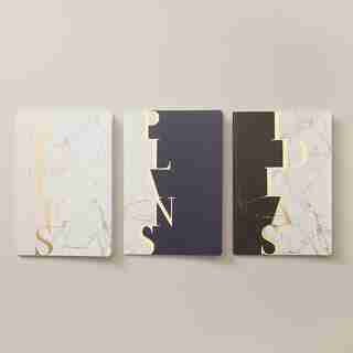 SET OF 3 NOTEBOOKS LARGE VERTICAL NOTES PINK