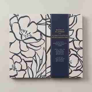 SUGAR PLUM GUIDED STATIONARY PAINTED PEONIES