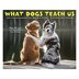 2020 Desk Calendar What Dogs Teach Us By Calendars Desk