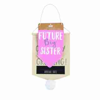 Mud Pie Pet Prop Announcement - Pink
