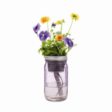 Self-Watering Flower Garden Jar - Pansy