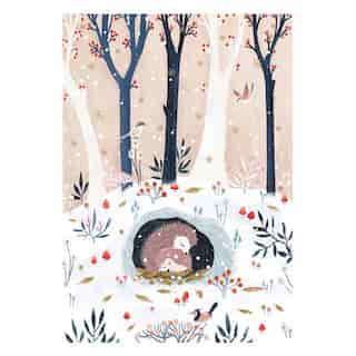 Boxed Cards - Hedgehogs