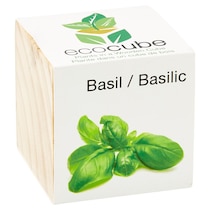 Ecocube Basil