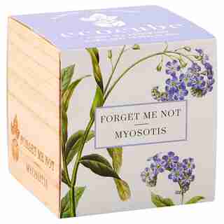 Ecocube Forget Me Not Grow Kit