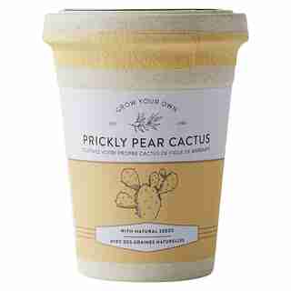 ECOPOT PRICKLY PEAR CACTUS GROW KIT