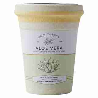 ECOPOT ALOE VERA GROW KIT