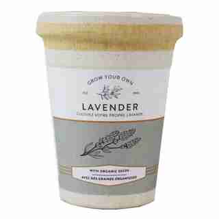 Ecopot Lavender Grow Kit