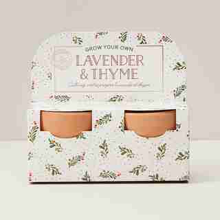 LAVENDER AND THYME GROW KIT