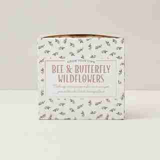 ECOPOD WILDFLOWERS GROW KIT